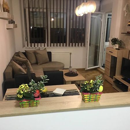 Apartment Sinisa With Garage 노비사드 외부 사진
